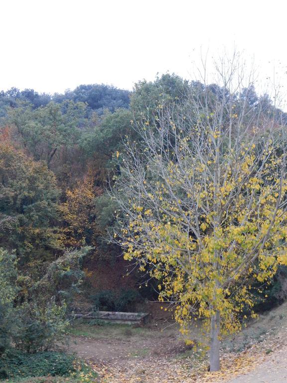Casa Canut Tartareu Buitenkant foto